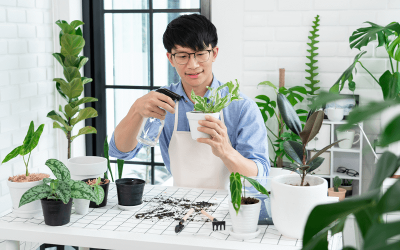 Image of a person happily taking care of their plants. They are surrounded by various greenery while holding a watering can.