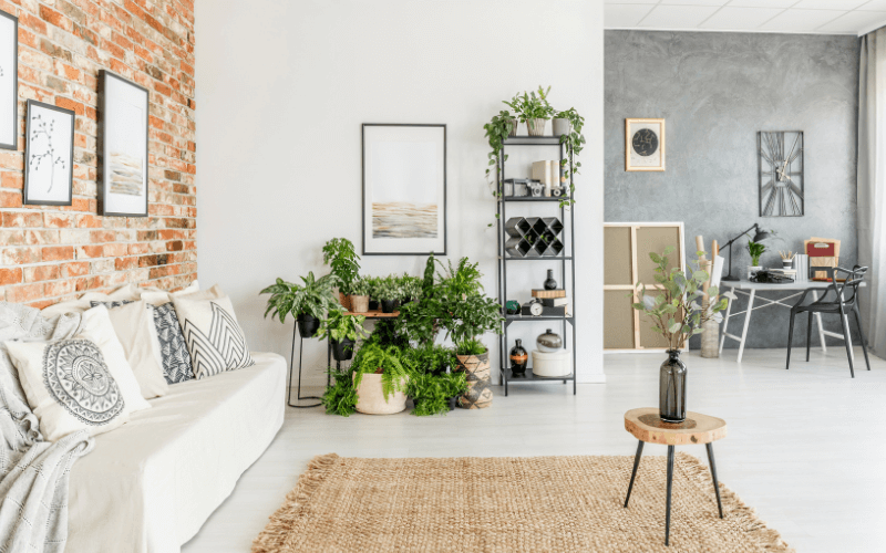 Image of a wall with hanging poster frames and house plants placed at the side, with a shelf decorated with different knick-knacks.