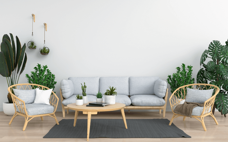 Image shot of a living room decorated with large and small potted plants.