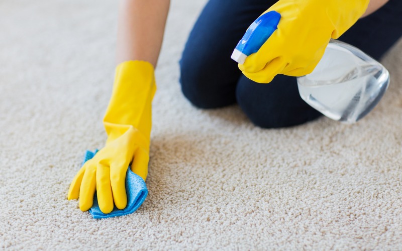 A person cleaning a carpet with a cloth