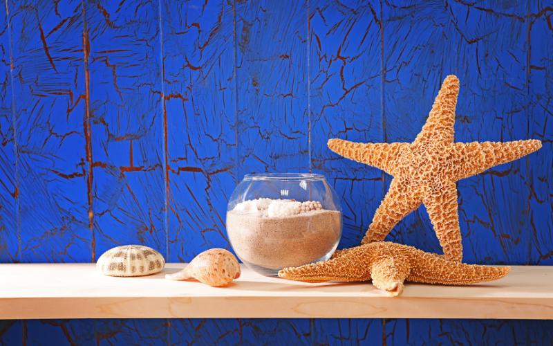 Image of decorations made from shells and jars filled with sand