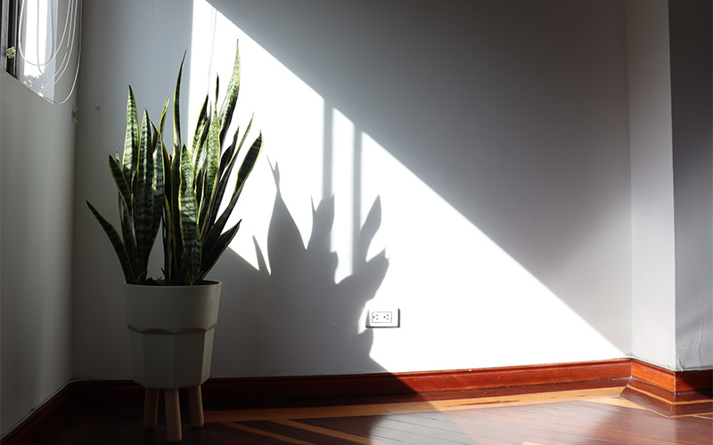 Image of a room with natural lighting