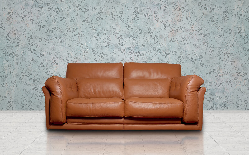 Image of a leather couch