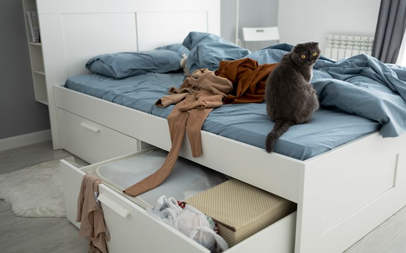 a small image of a sofa bed with storage